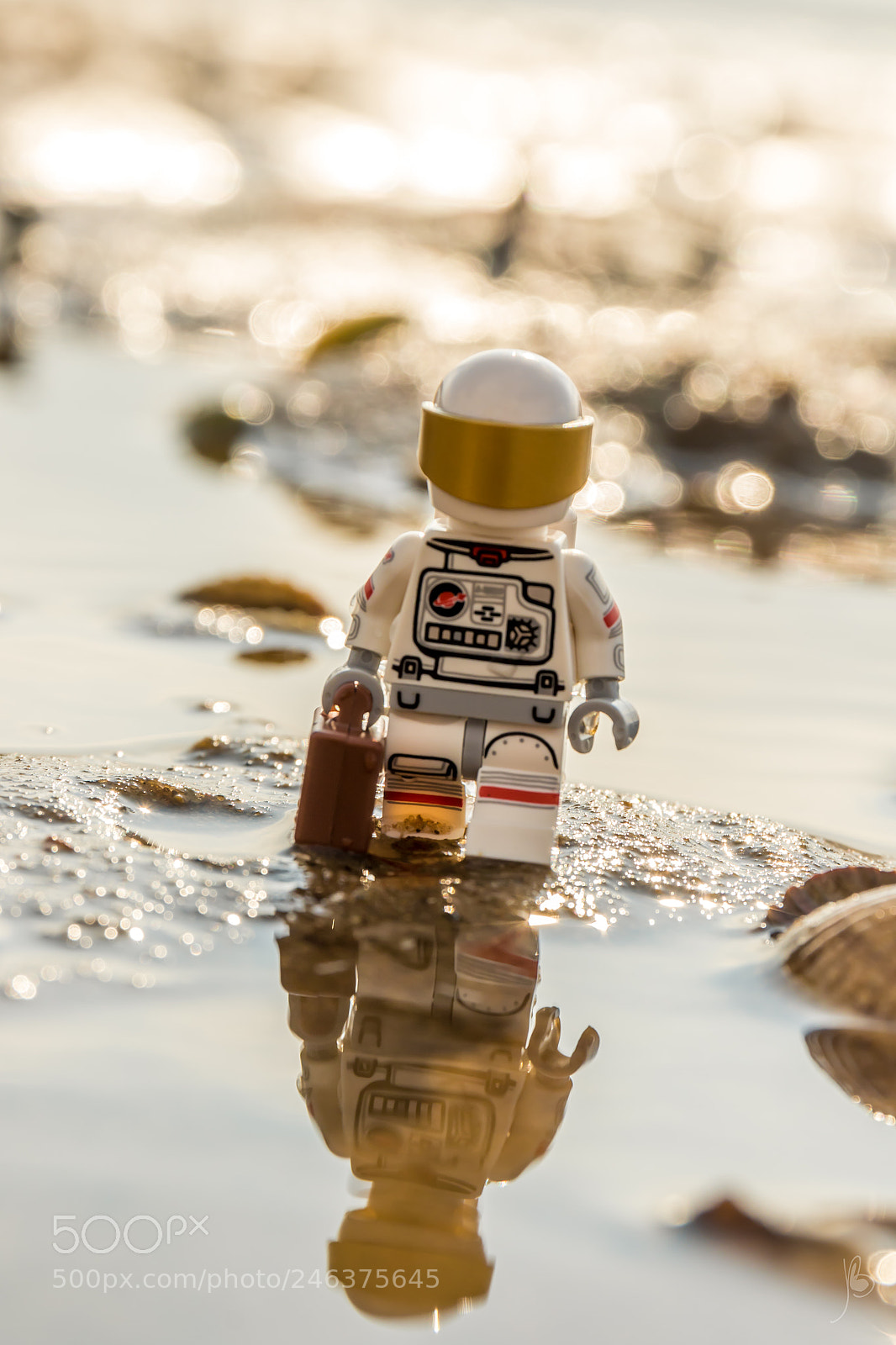 Canon EOS 7D Mark II sample photo. Space walk to work photography