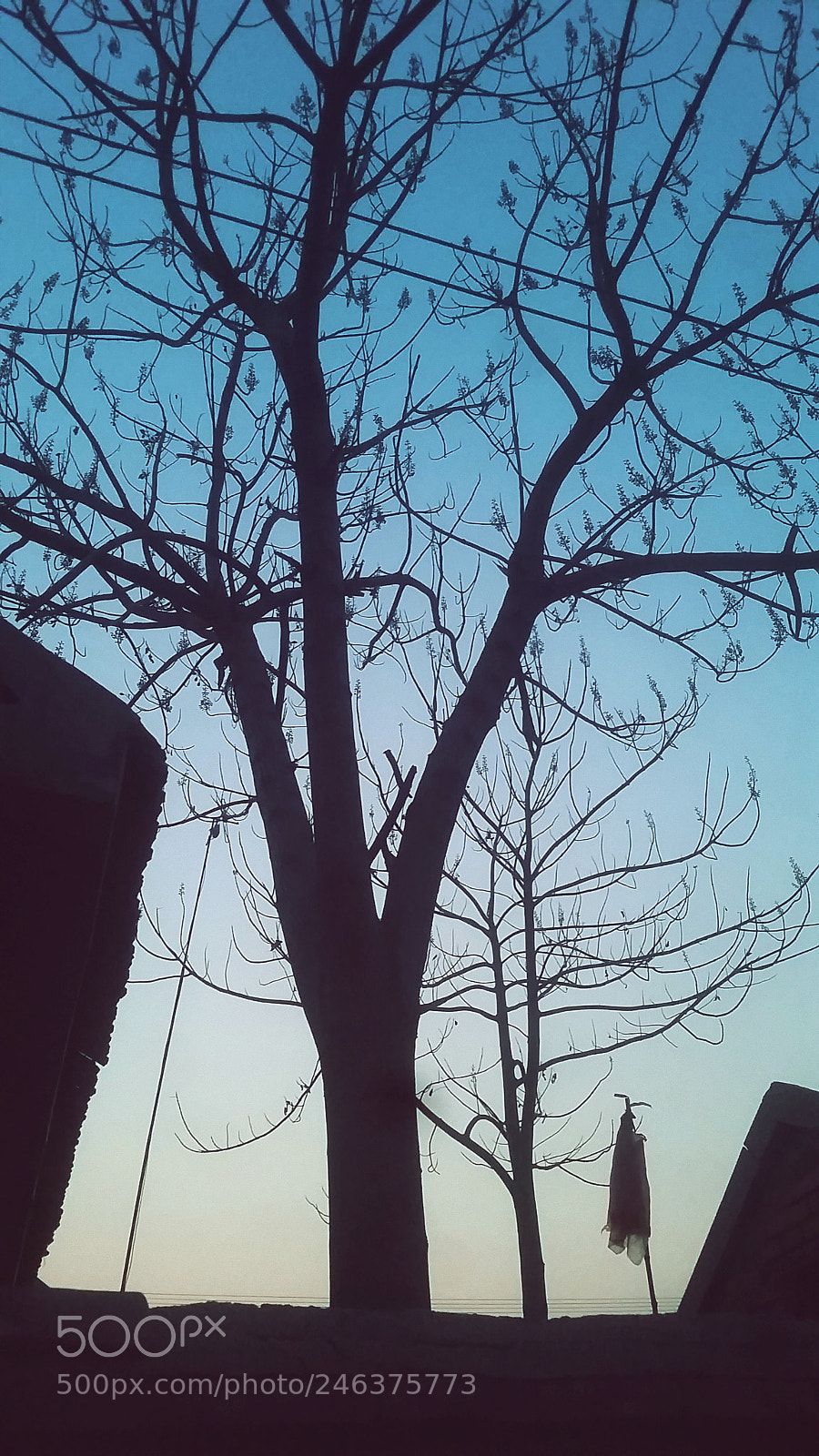 Samsung Galaxy S5 sample photo. The first morning light photography