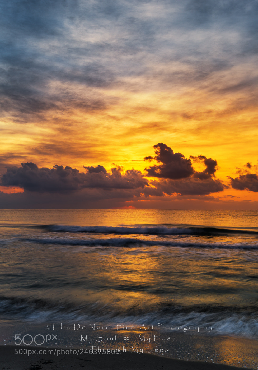 Nikon D810 sample photo. Naturally liguria photography