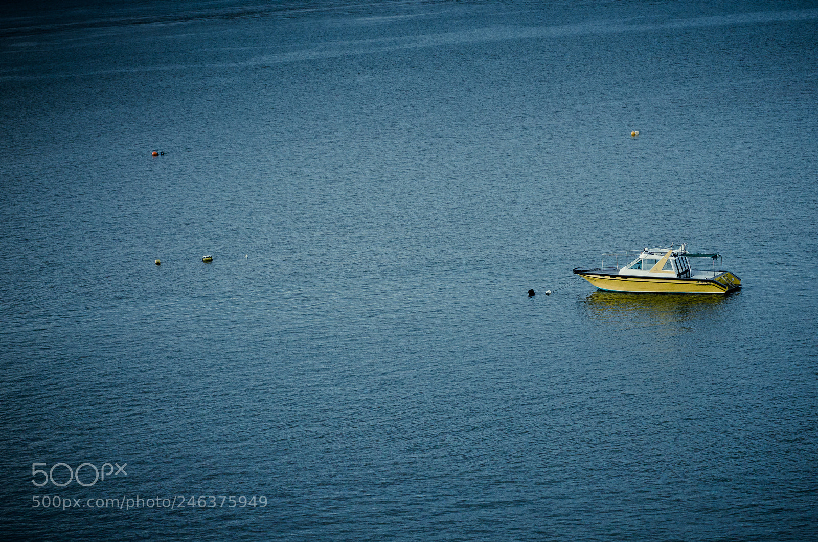 Nikon D5100 sample photo. Untitled photography