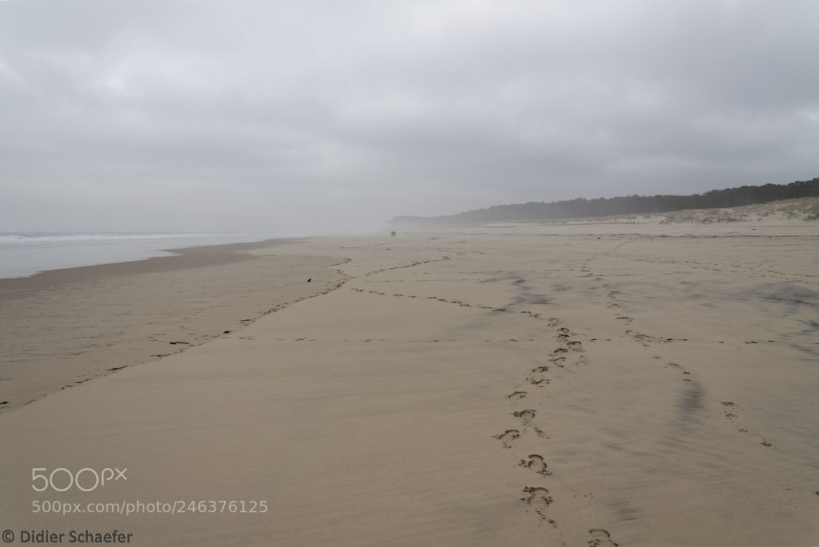 Canon EOS 50D sample photo. Foggy beach photography