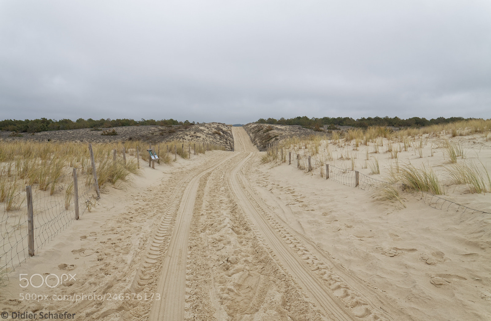 Canon EOS 50D sample photo. Through the dunes photography