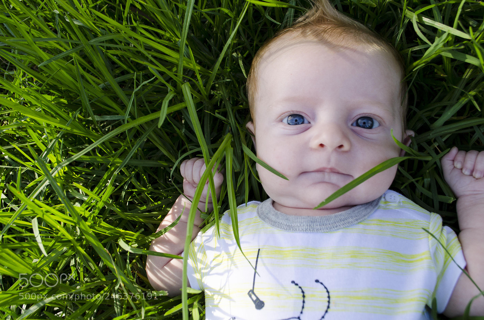 Nikon D5100 sample photo. Little one photography