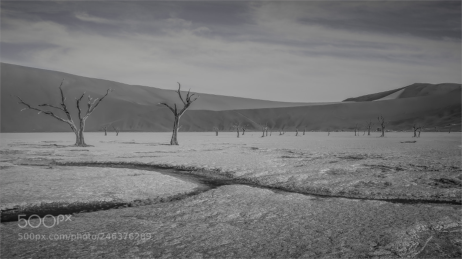 Canon EOS 7D Mark II sample photo. Drought paterns photography