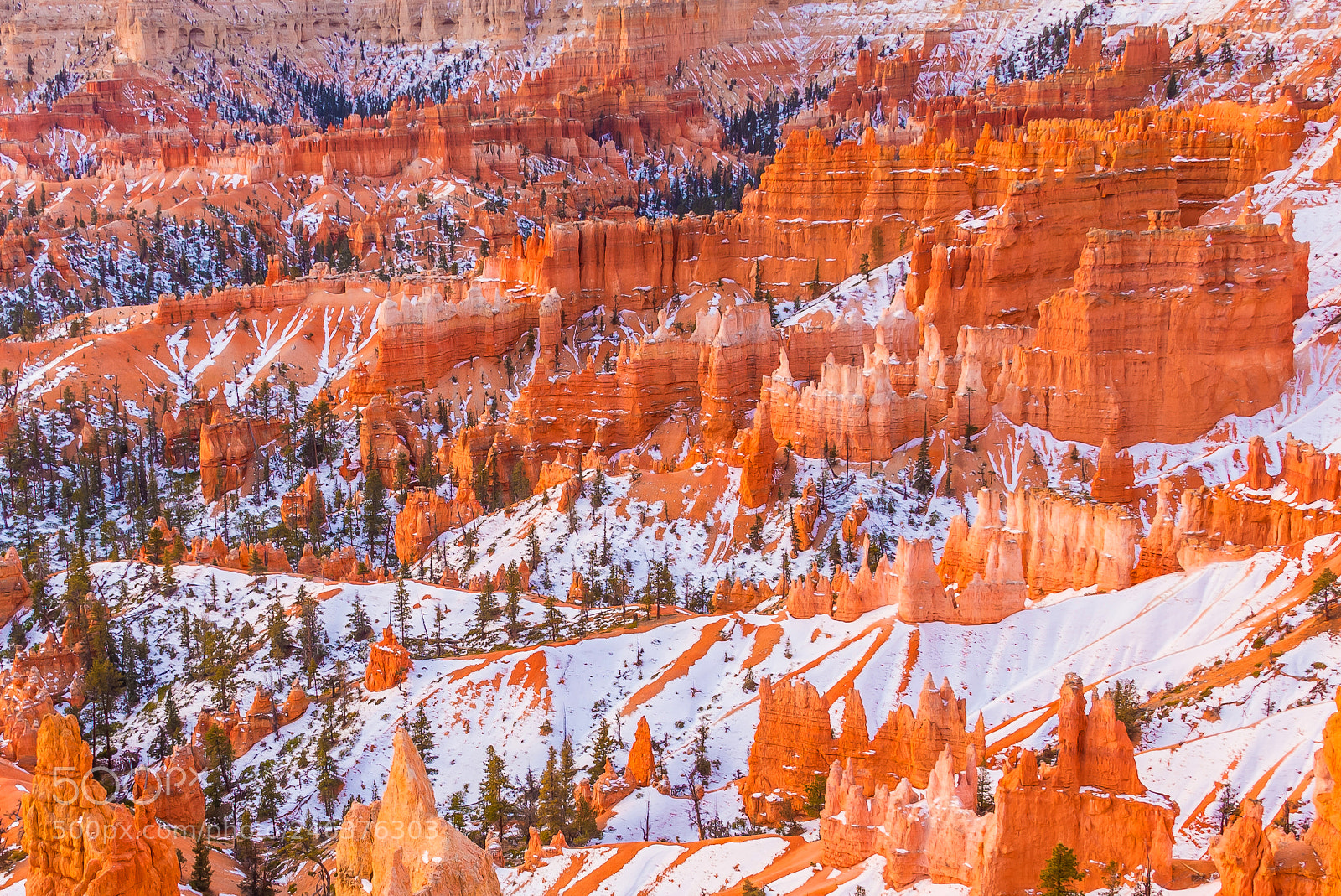 Nikon D610 sample photo. Snow in bryce photography