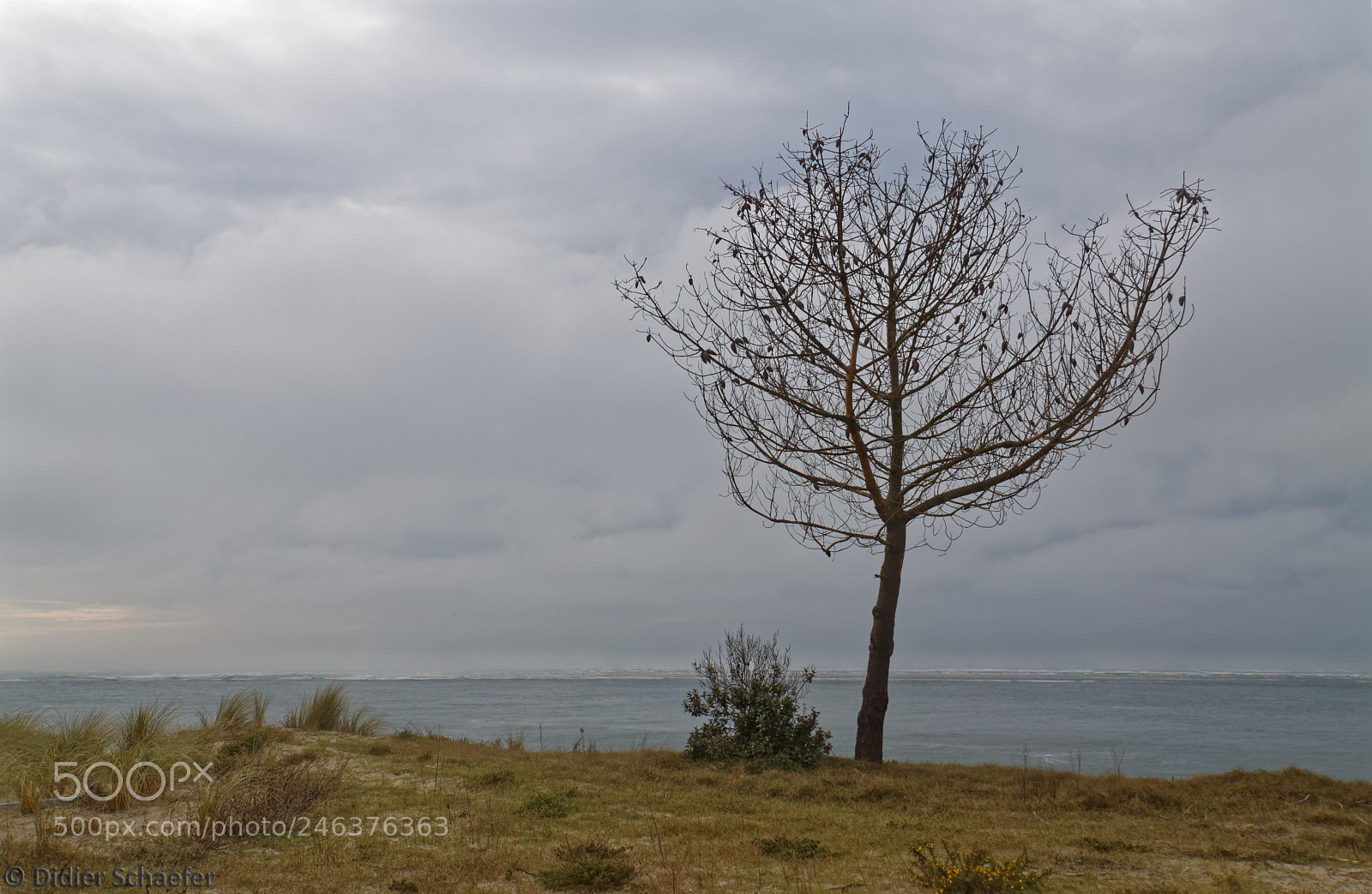 Canon EOS 50D sample photo. Survey photography