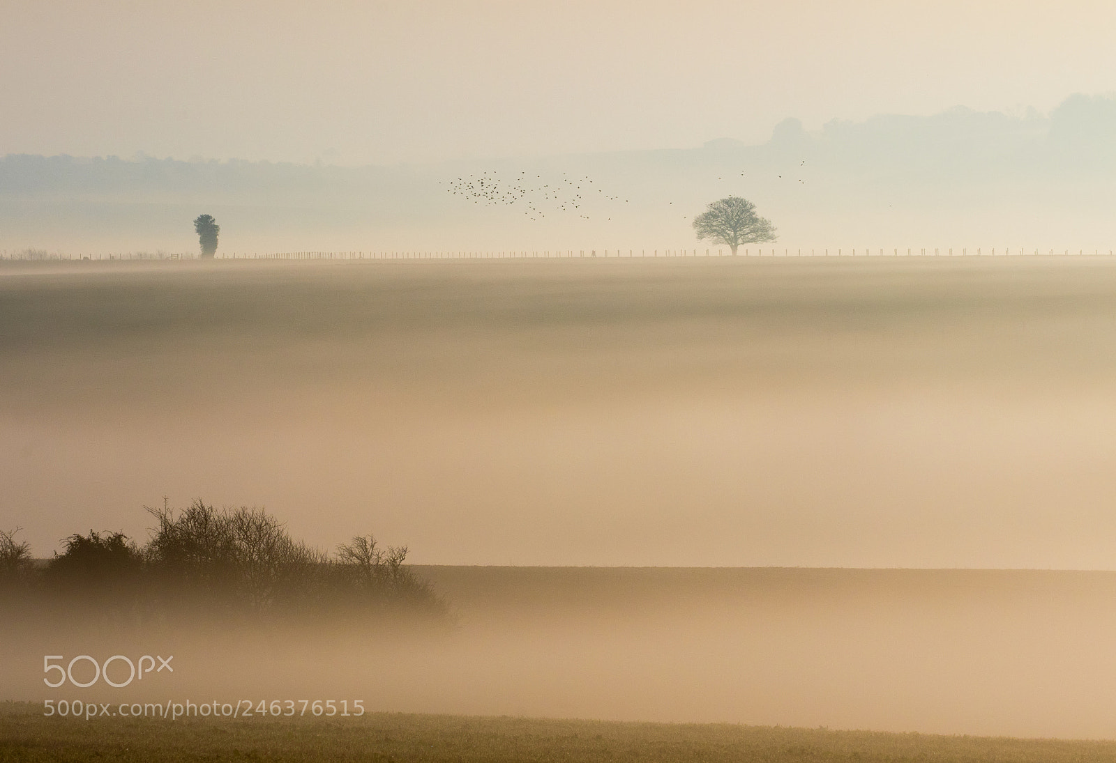 Canon EOS 7D Mark II sample photo. Misty layers photography