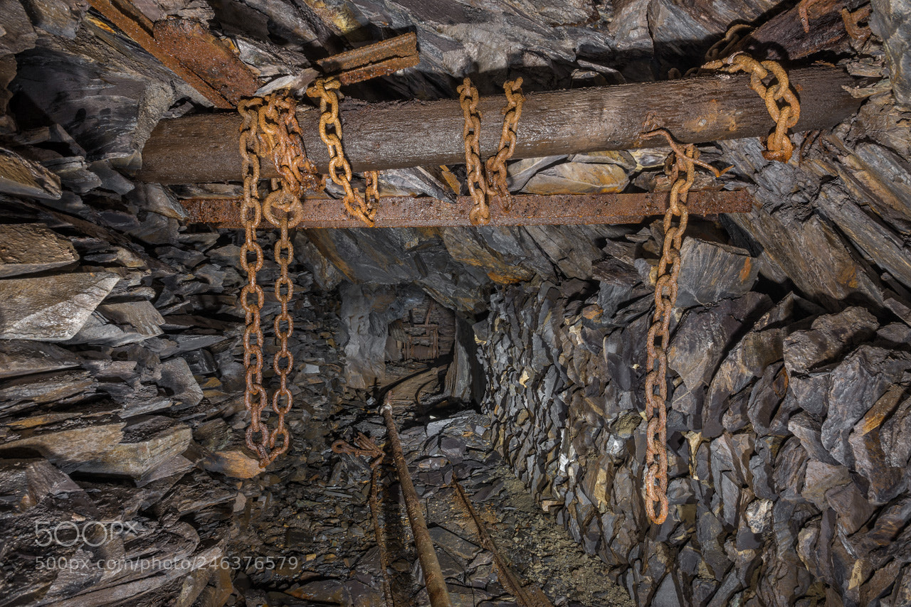 Nikon D600 sample photo. Winch photography
