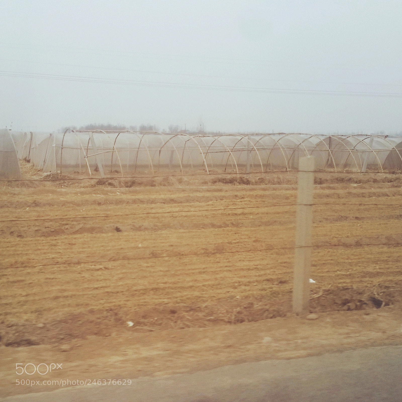 Samsung Galaxy S5 sample photo. The second day of photography