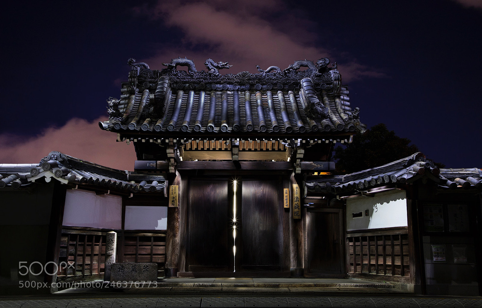 Canon EOS 6D Mark II sample photo. Satori? photography
