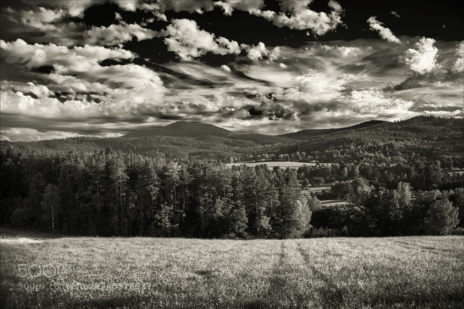 Fujifilm X-T1 sample photo. Umava bob k 1264 photography