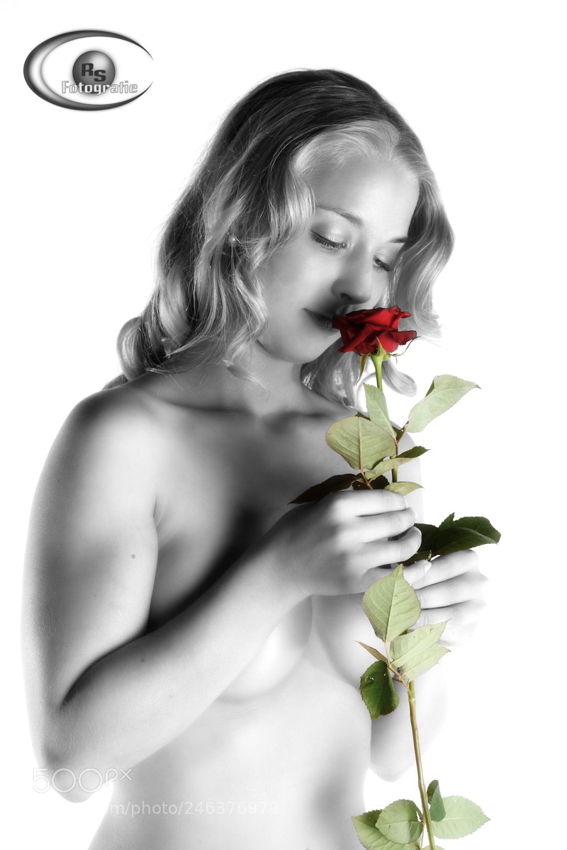Canon EOS-1D Mark III sample photo. Red rose photography