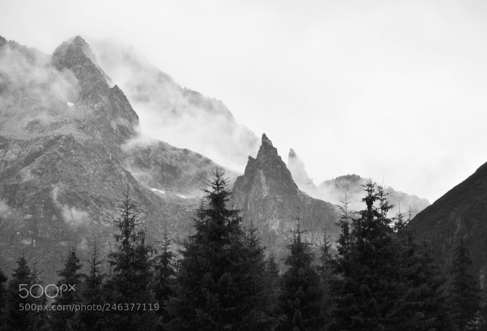 Nikon D90 sample photo. Misty and foggy photography