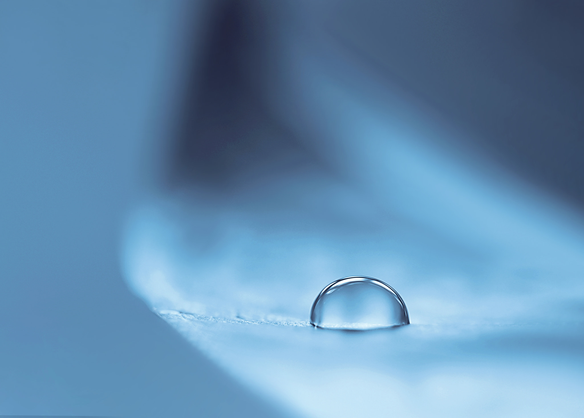 Canon EF 100mm F2.8 Macro USM sample photo. Forgotten photography