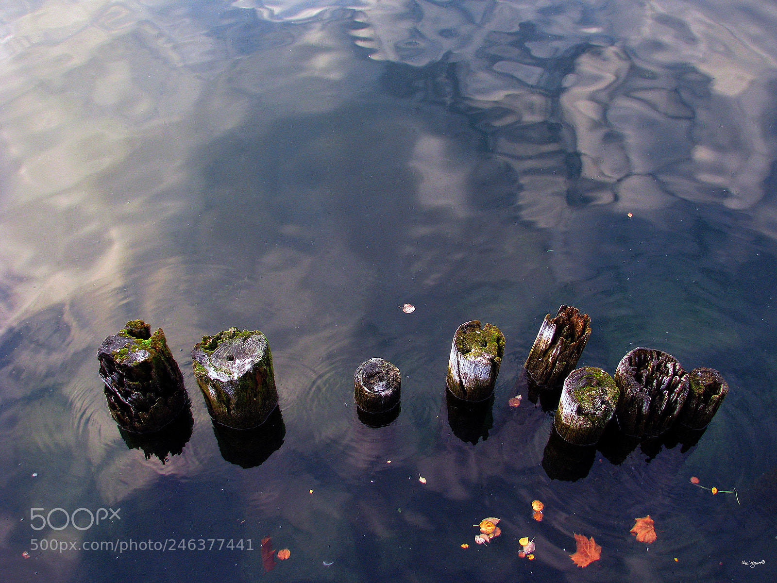 Canon POWERSHOT S5 IS sample photo. Bodensee photography