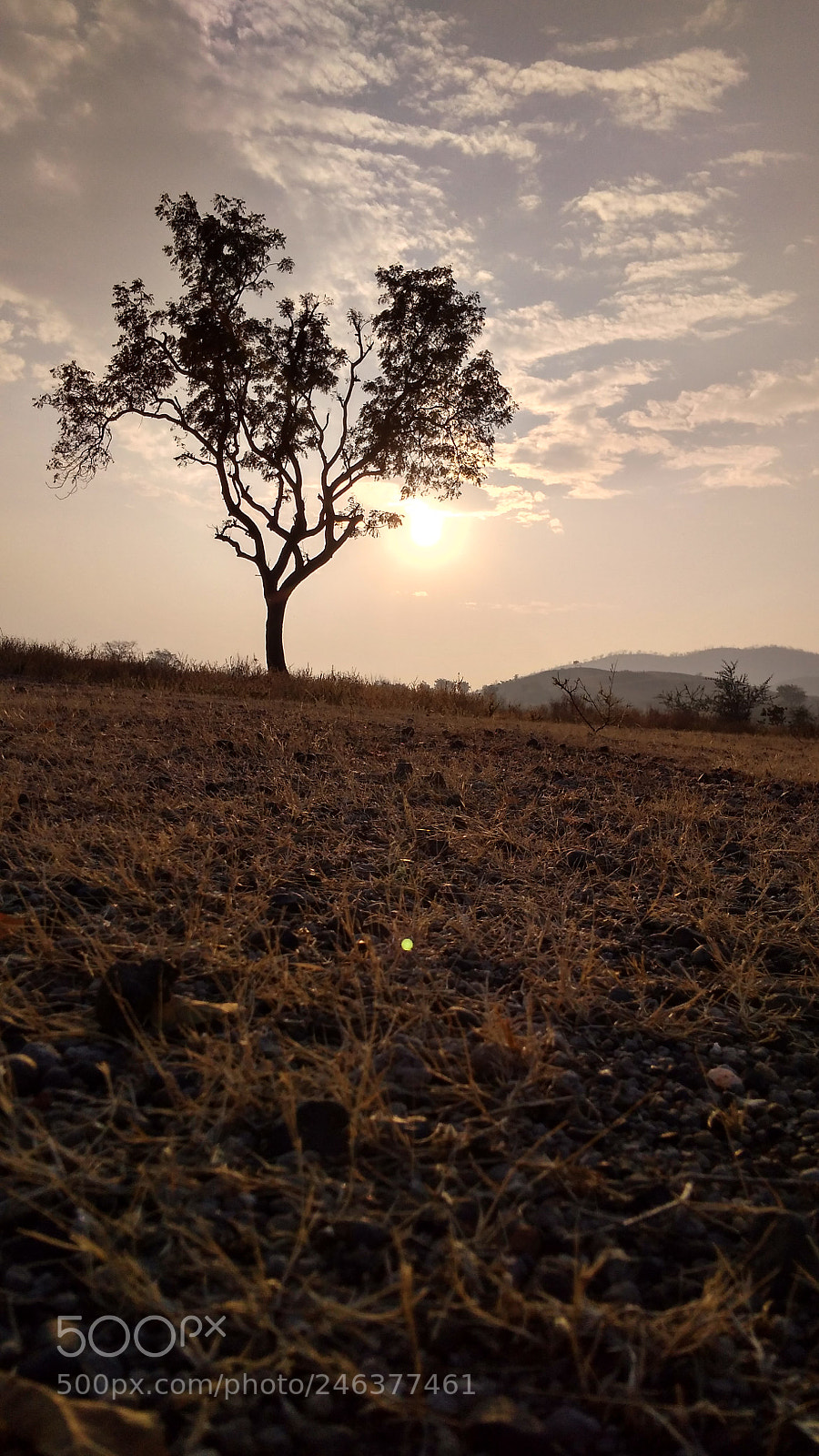 Xiaomi Redmi 4A sample photo. Sundown photography