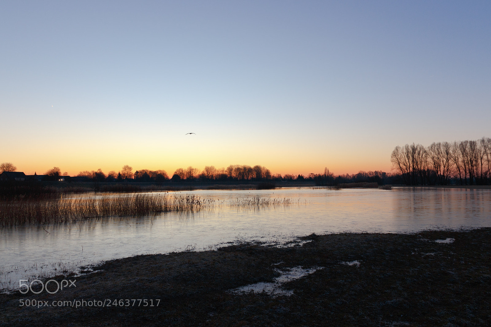 Canon EOS 700D (EOS Rebel T5i / EOS Kiss X7i) sample photo. Morning scape photography