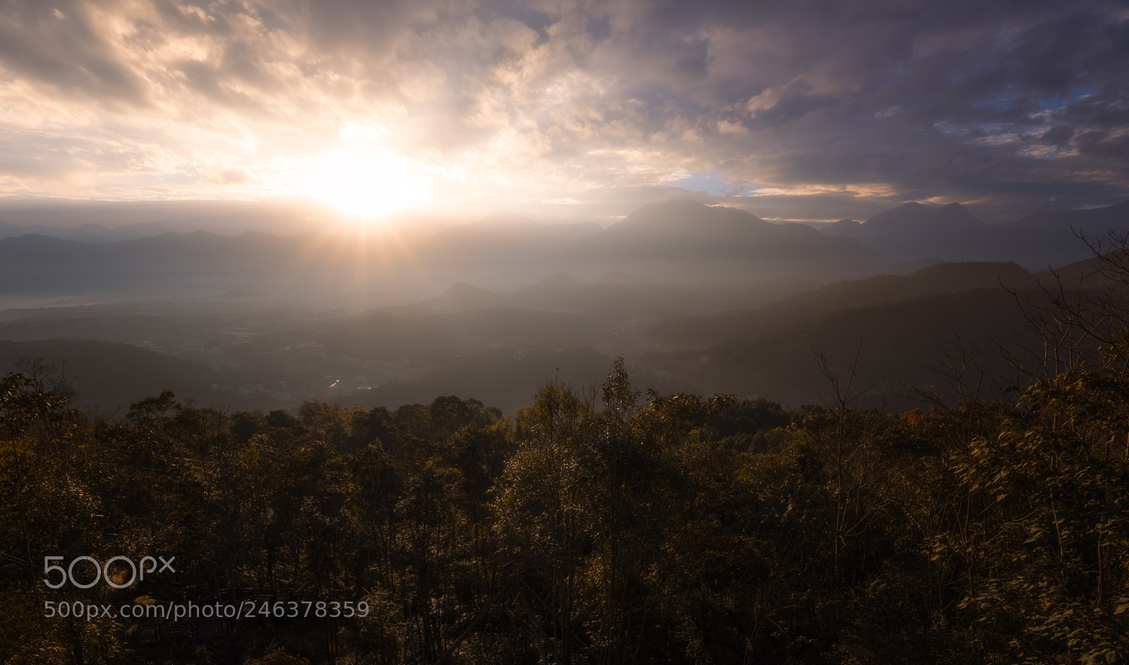 Nikon D810 sample photo. Dreamy misty sunrise photography