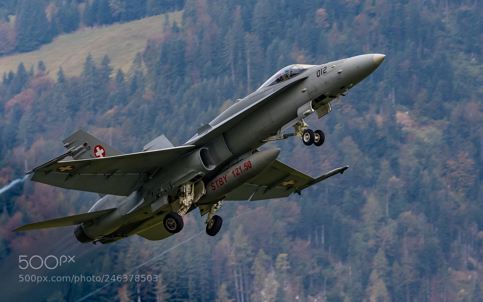 Canon EOS 7D Mark II sample photo. Hornet take off photography