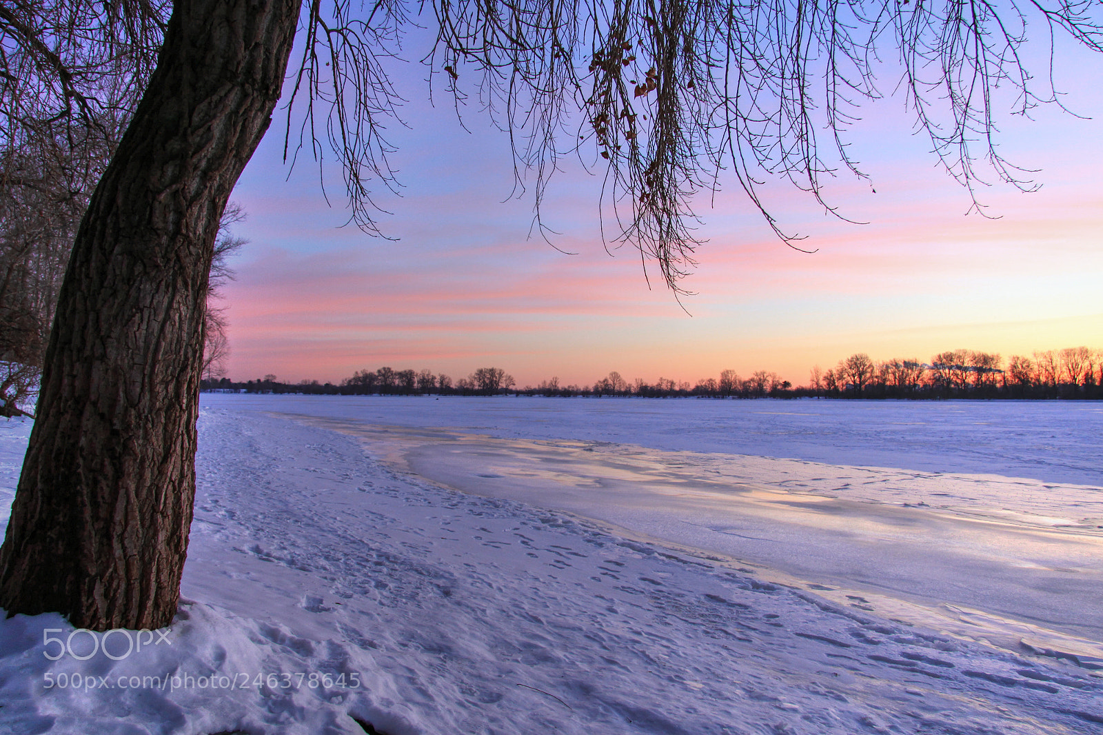 Canon EOS 500D (EOS Rebel T1i / EOS Kiss X3) sample photo. February morning photography