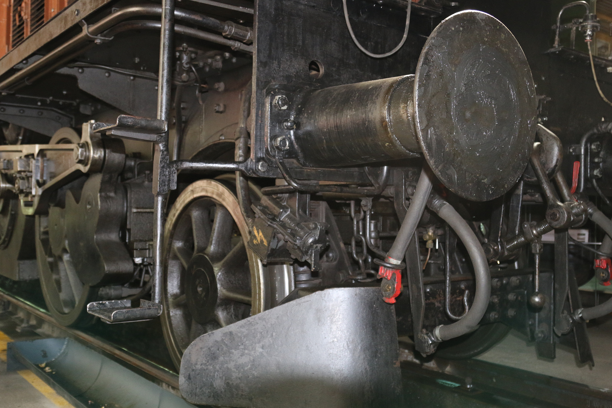 Canon EF 24-105mm F4L IS USM sample photo