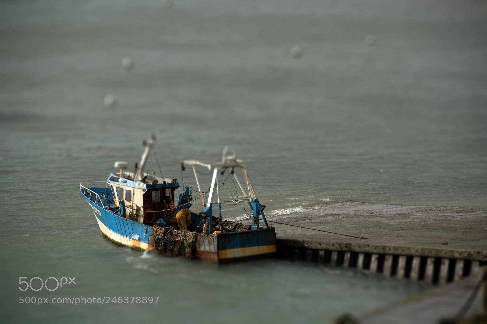 Nikon D7100 sample photo. Nutshell on the sea photography