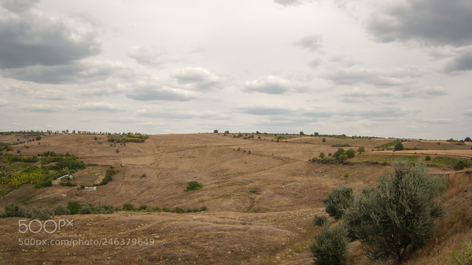 Canon EOS 1000D (EOS Digital Rebel XS / EOS Kiss F) sample photo. Autumn in moldova photography