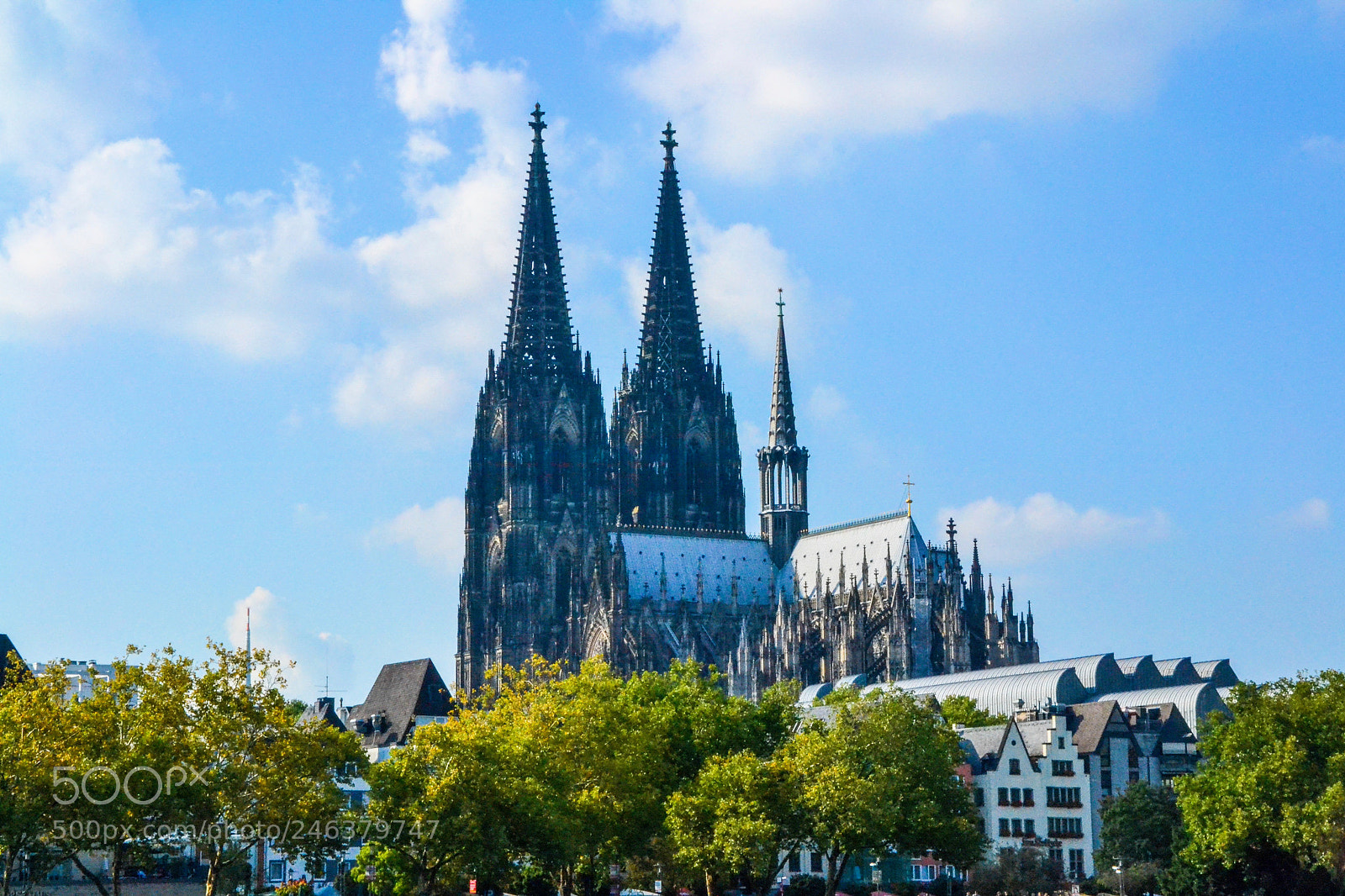 Nikon D3100 sample photo. Cologne photography