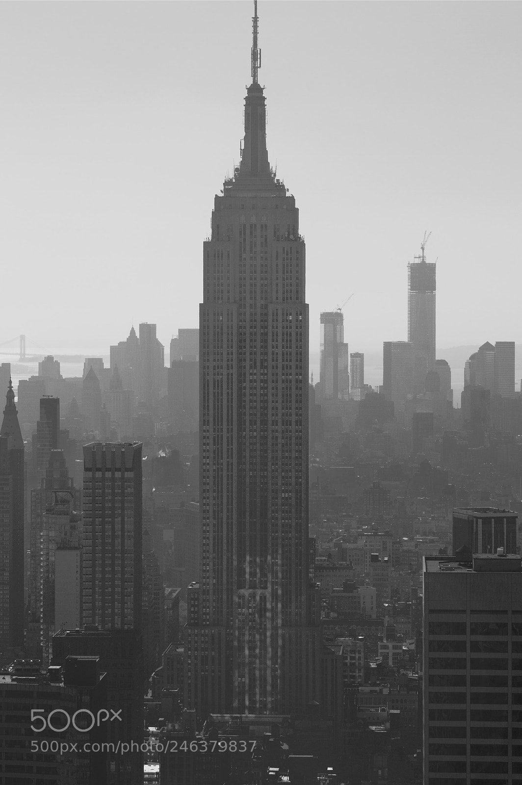 Canon EOS 7D sample photo. Empire state photography