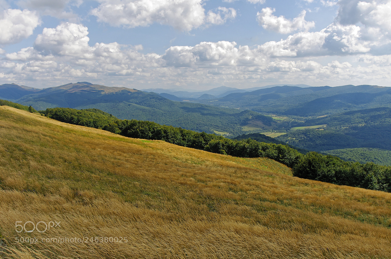 Pentax K-5 sample photo. View from polonina carynska. photography