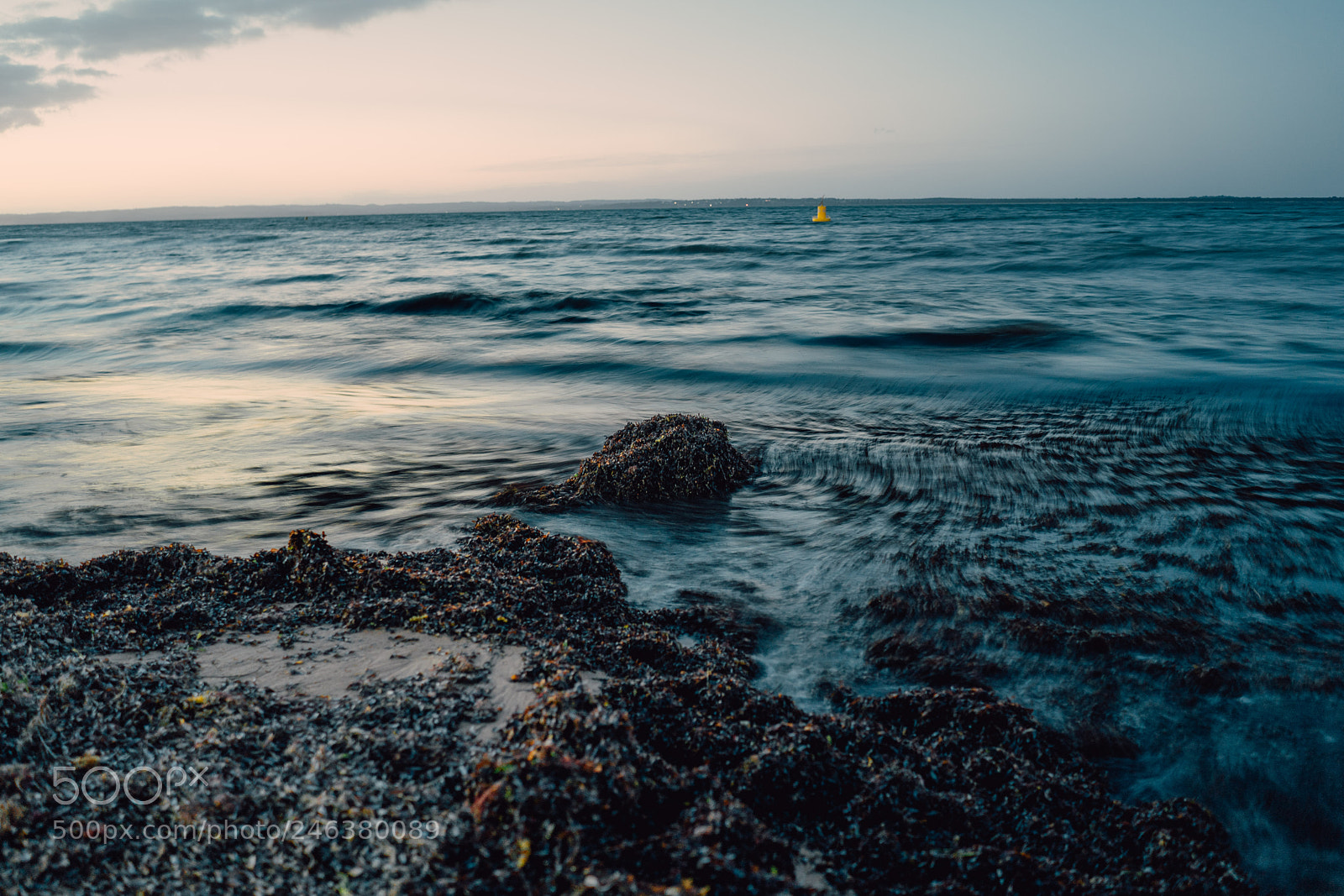 Sony a7 II sample photo. Still photography
