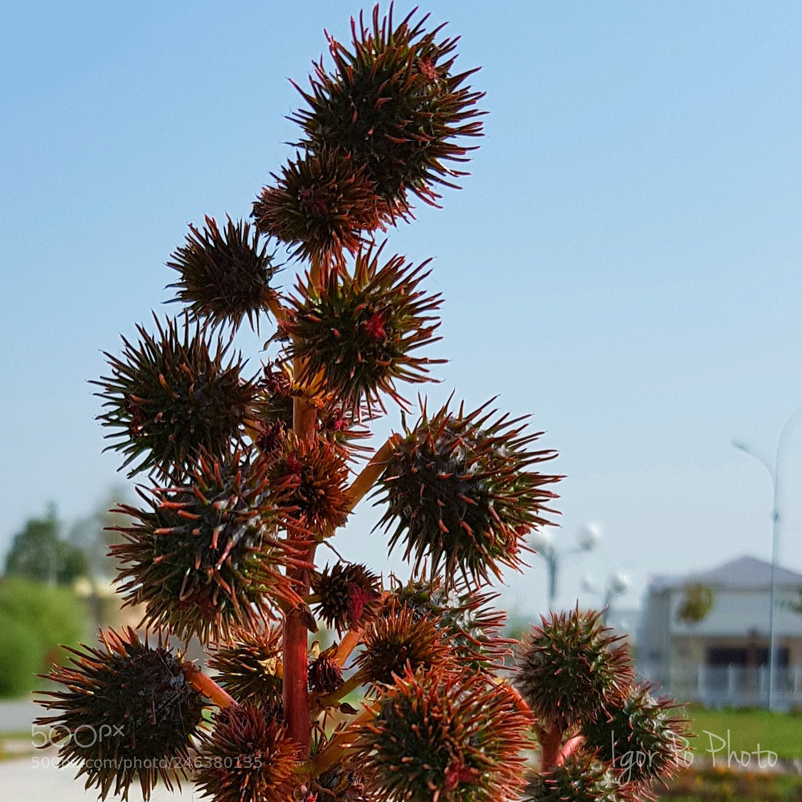 Samsung Galaxy S7 Edge sample photo. Bombastic spheres photography