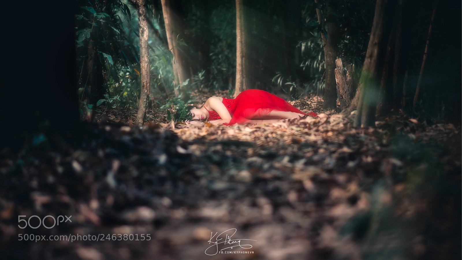 Nikon D600 sample photo. Sleeping beauty photography