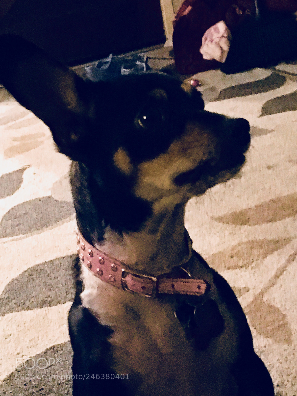 Apple iPad Pro sample photo. She hears a lot photography