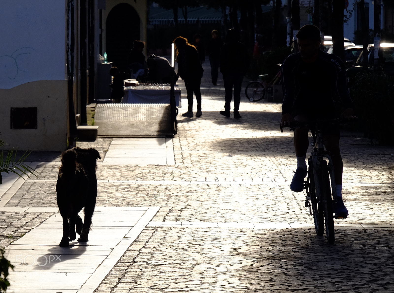 Fujifilm X-T1 sample photo. Untitled photography