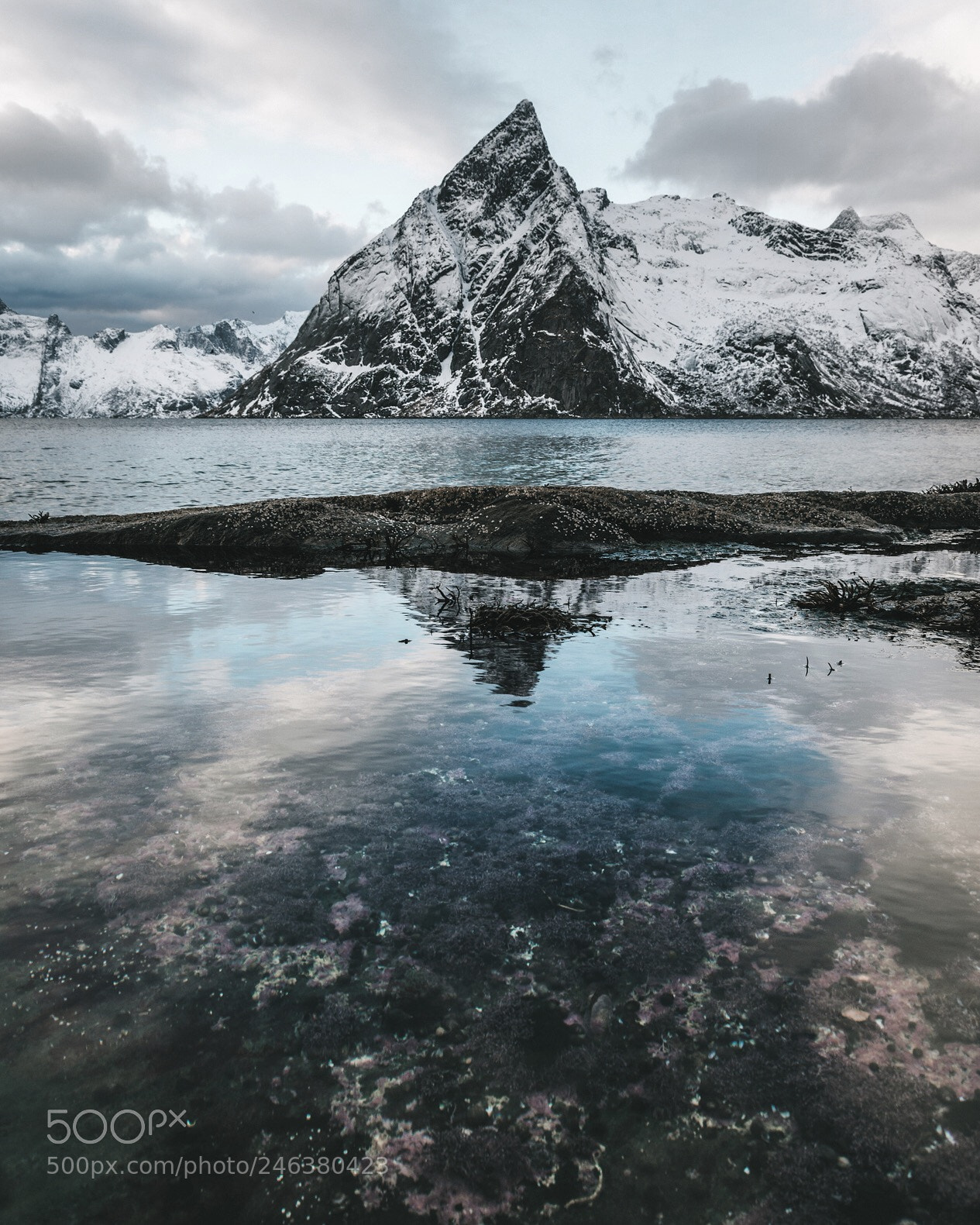 Nikon D800 sample photo. Olstinden, lofoten photography