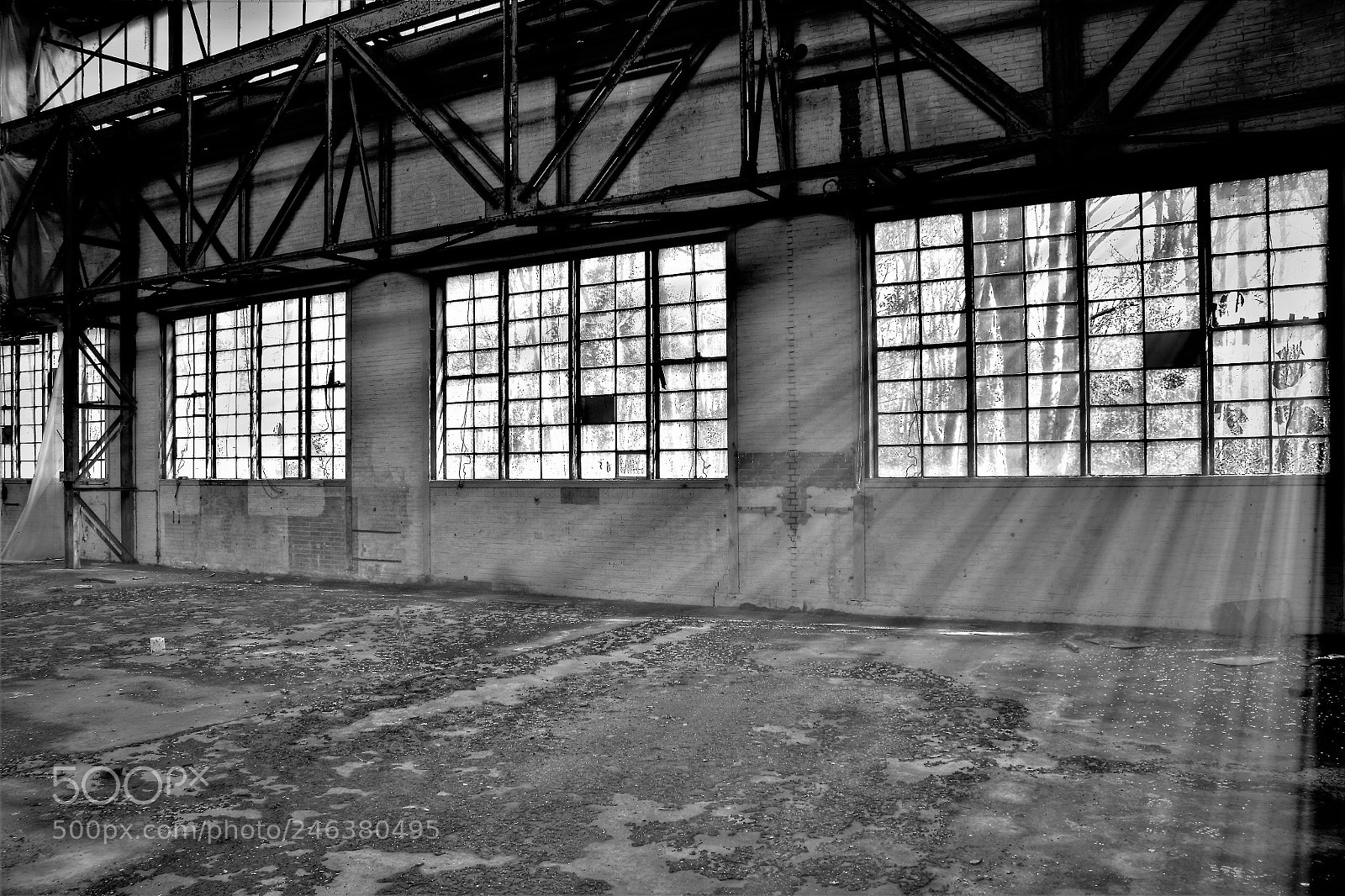 Canon EOS 650D (EOS Rebel T4i / EOS Kiss X6i) sample photo. Fenster photography