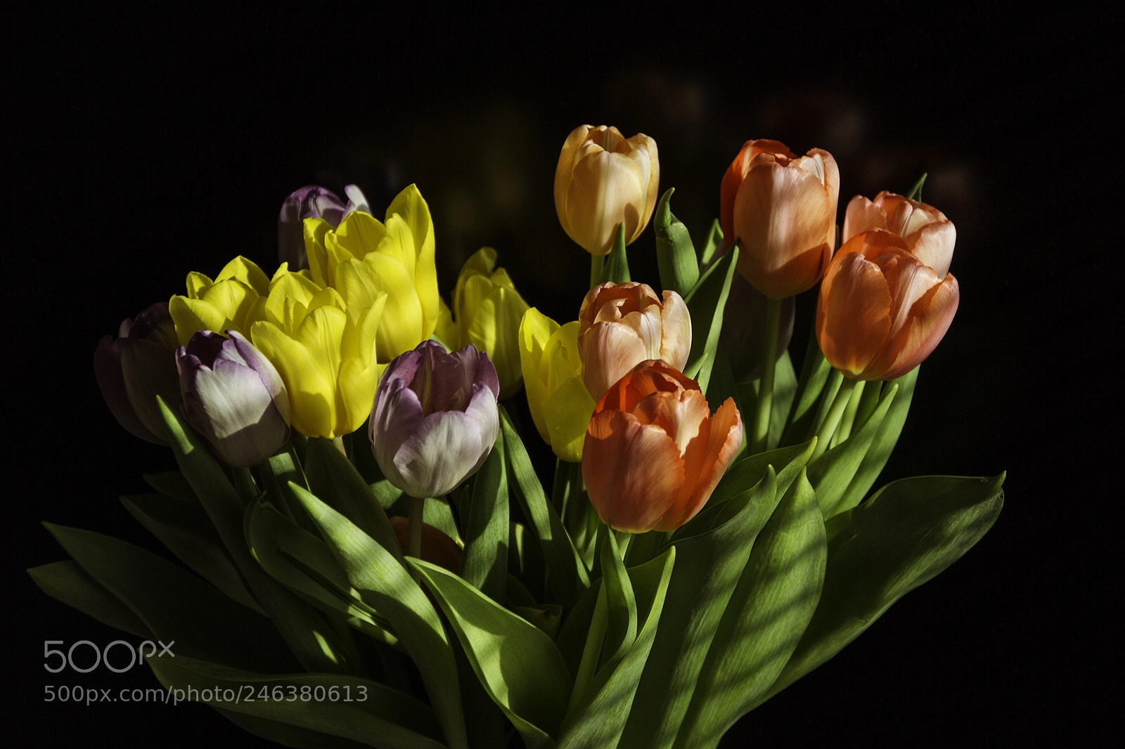 Canon EOS 7D sample photo. Spring explosion photography