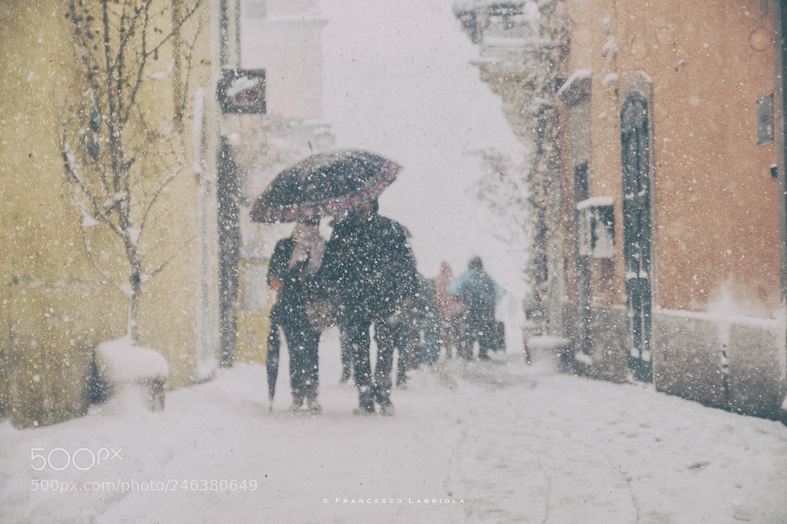 Nikon D3200 sample photo. Walking... on the white photography