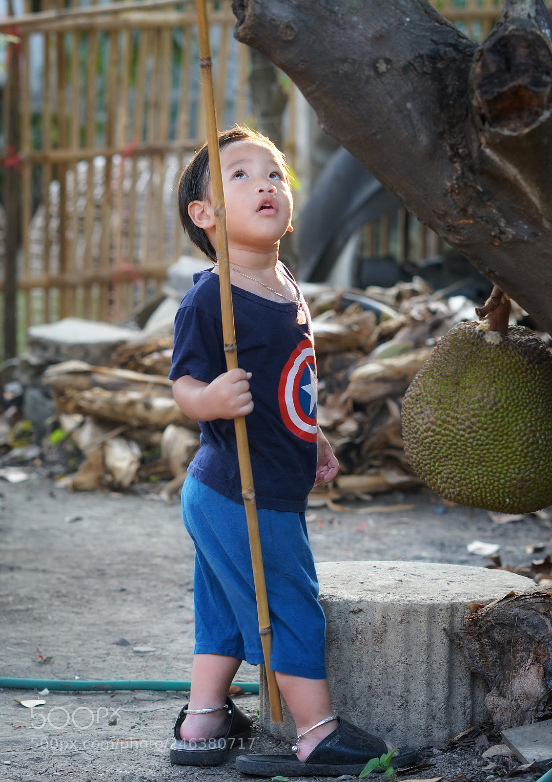 Sony a6500 sample photo. Tifong, photography