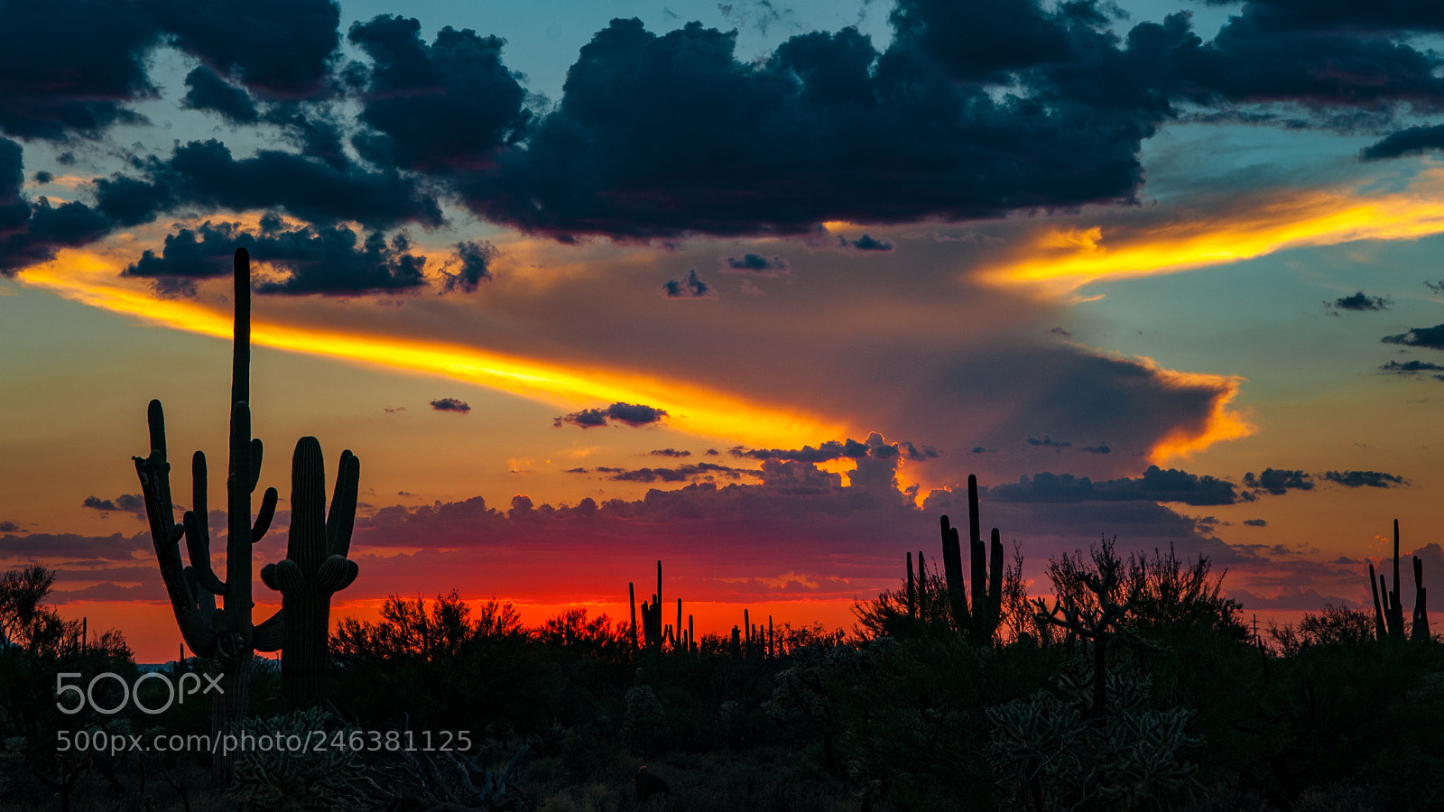 Nikon D300 sample photo. Unique sunset photography