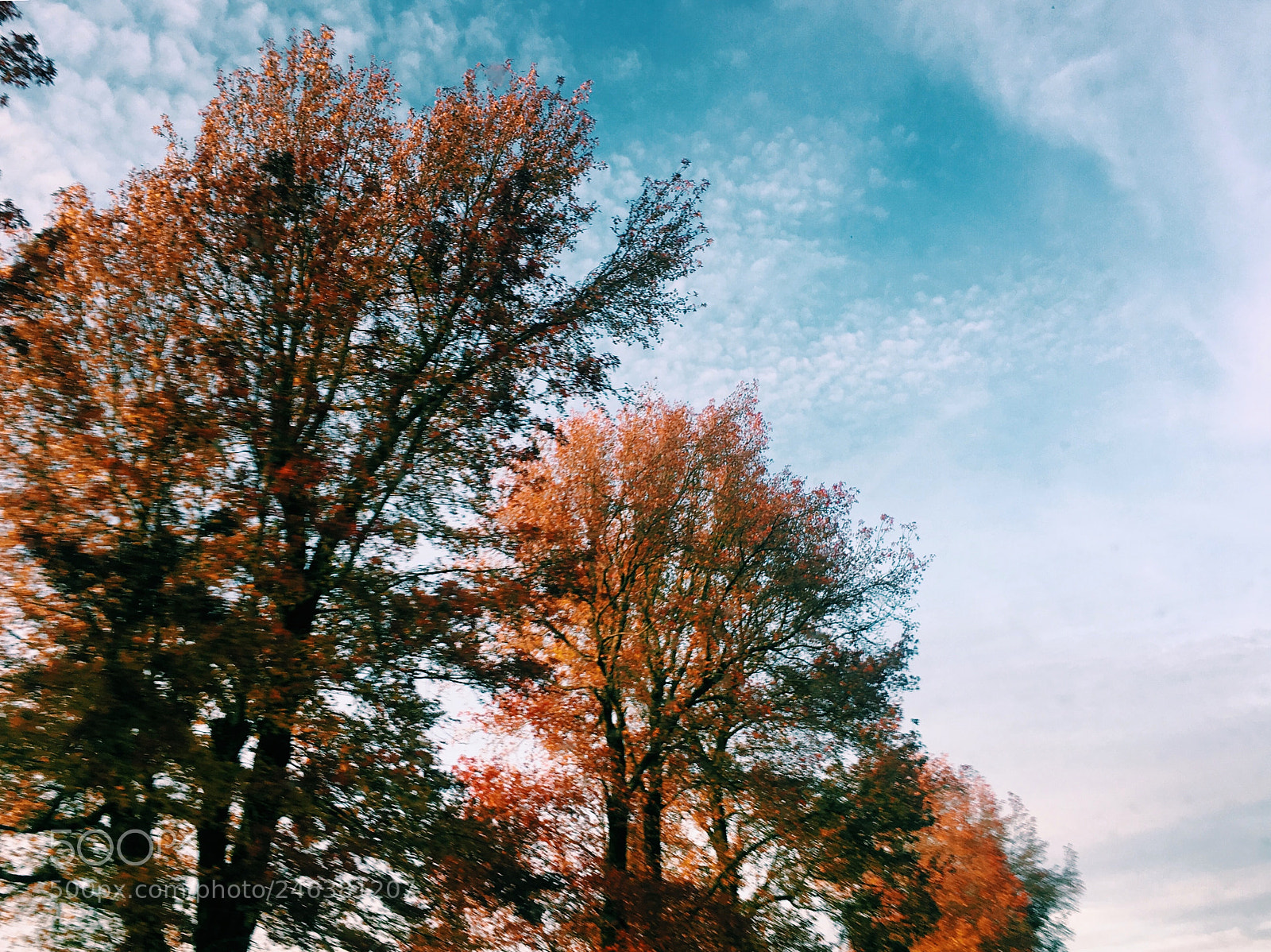 Apple iPhone 6s sample photo. Fall photography