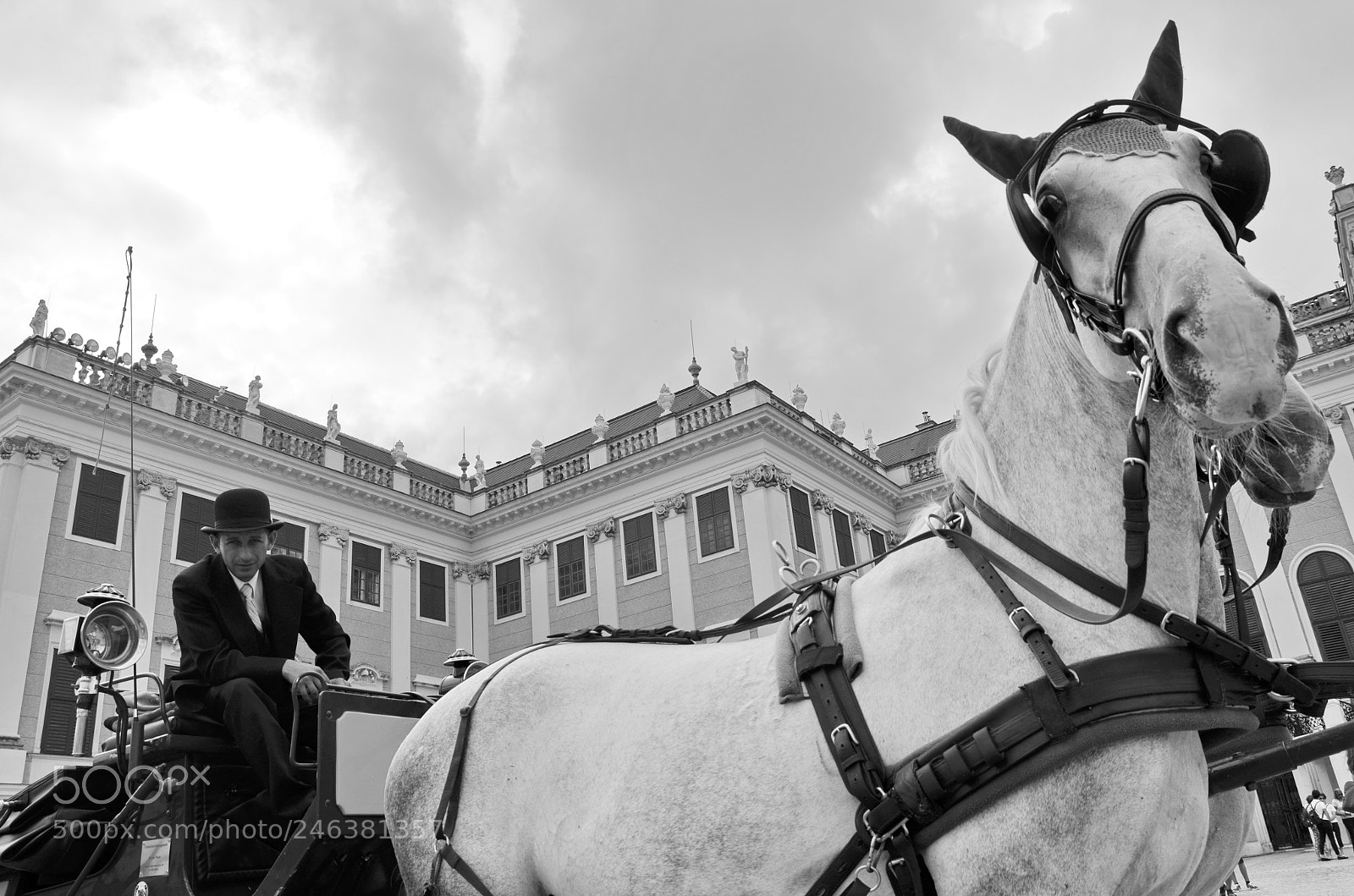 Nikon D5100 sample photo. Viena urban view photography