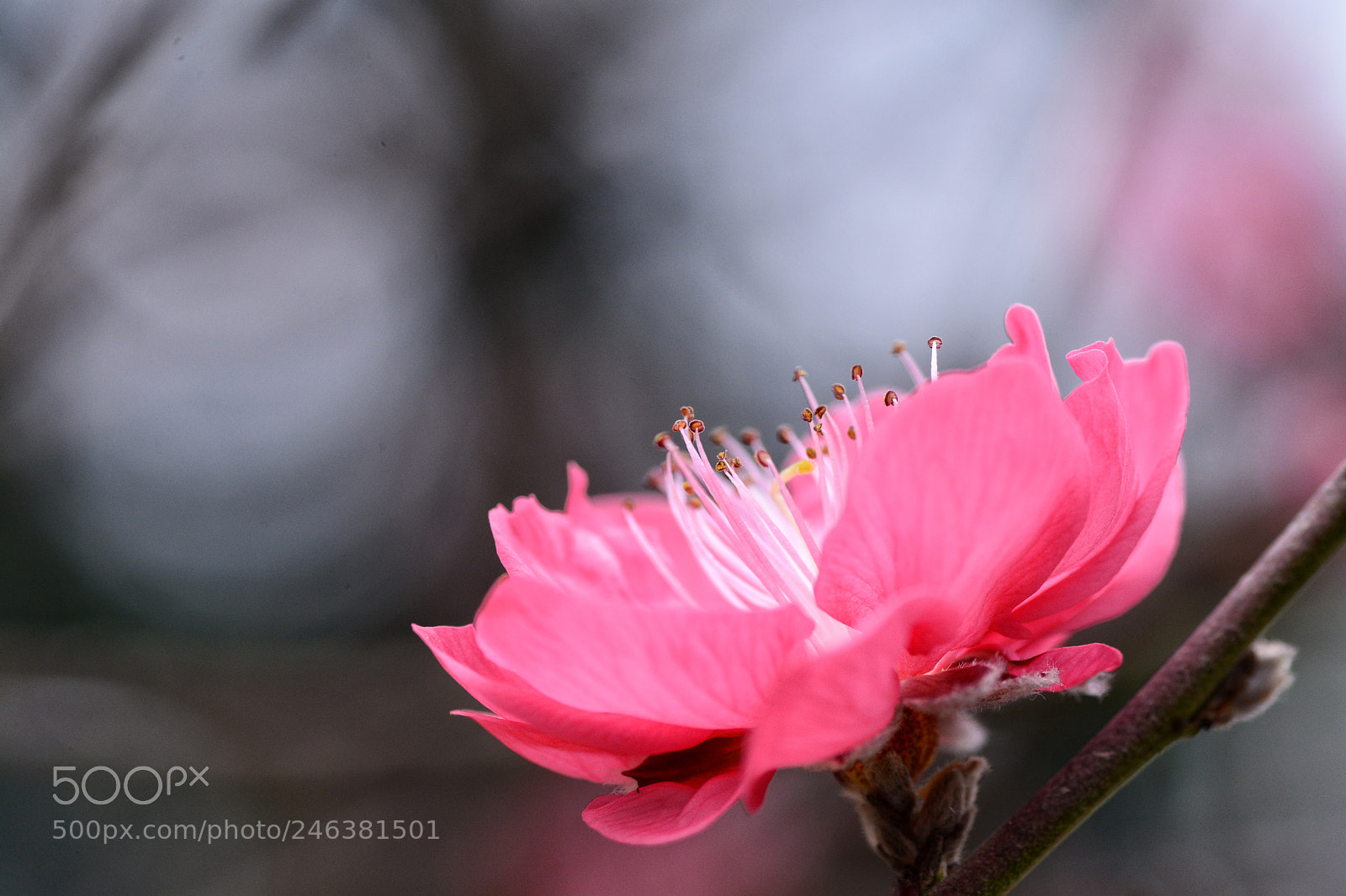 Nikon D7100 sample photo. Untitled photography