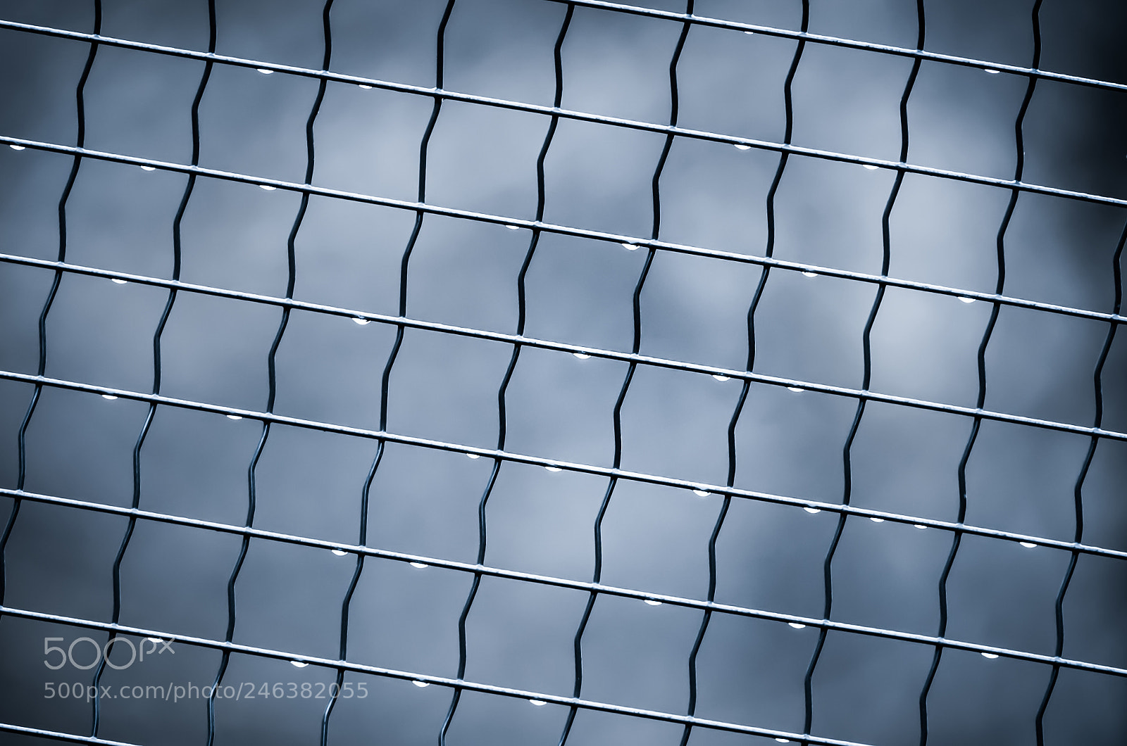 Pentax K-5 II sample photo. What is it? photography