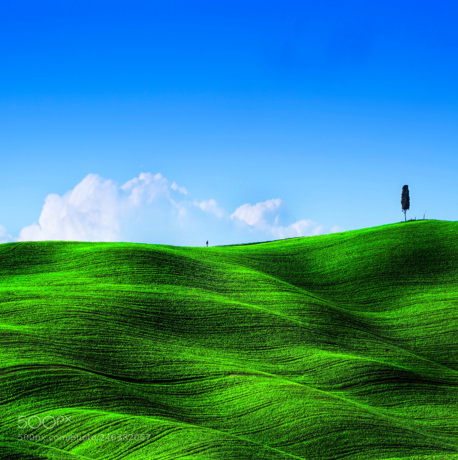 Olympus OM-D E-M5 sample photo. Tuscan minimalism .. photography
