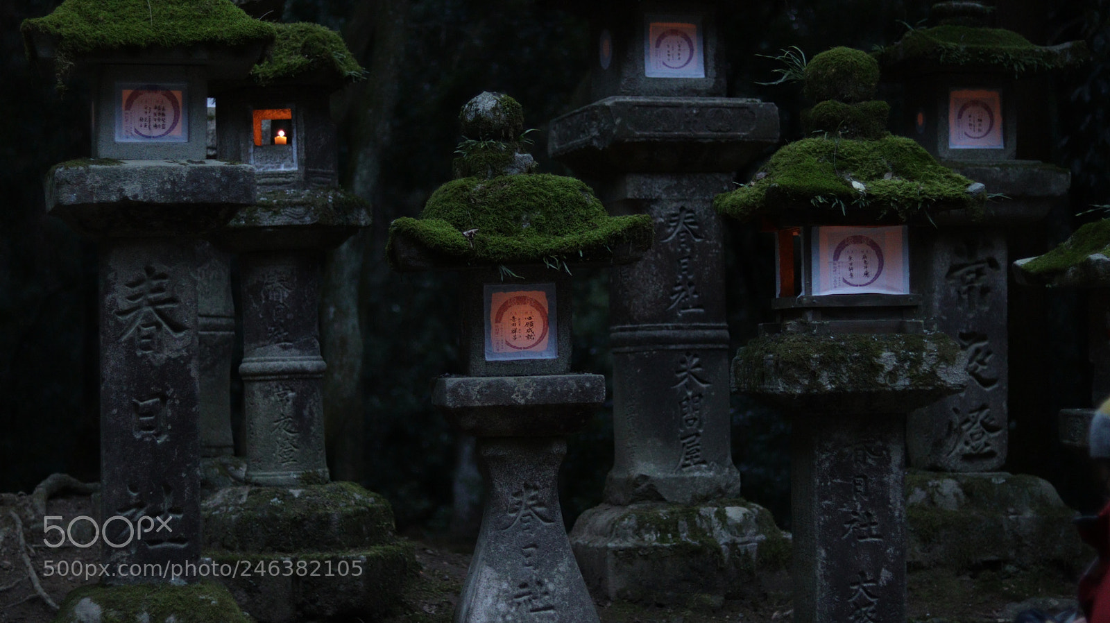 Canon EOS 800D (EOS Rebel T7i / EOS Kiss X9i) sample photo. Lanterns of kasuga-taisha photography