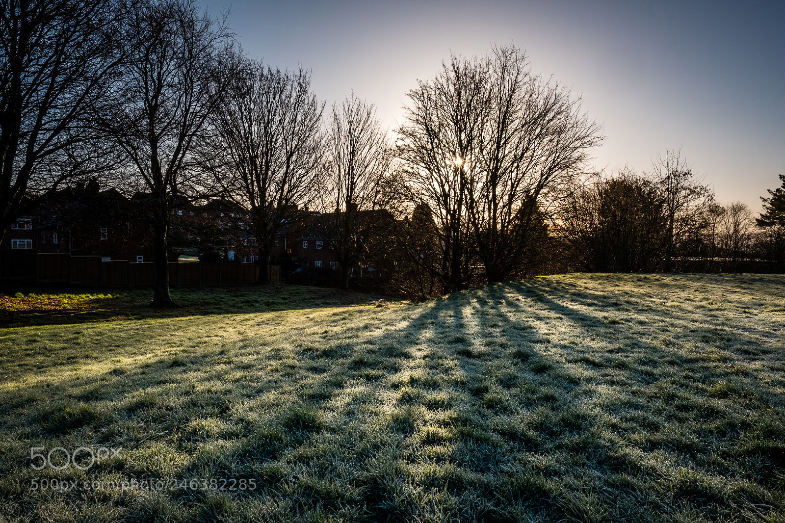 Fujifilm X-Pro2 sample photo. Frosty shadows photography
