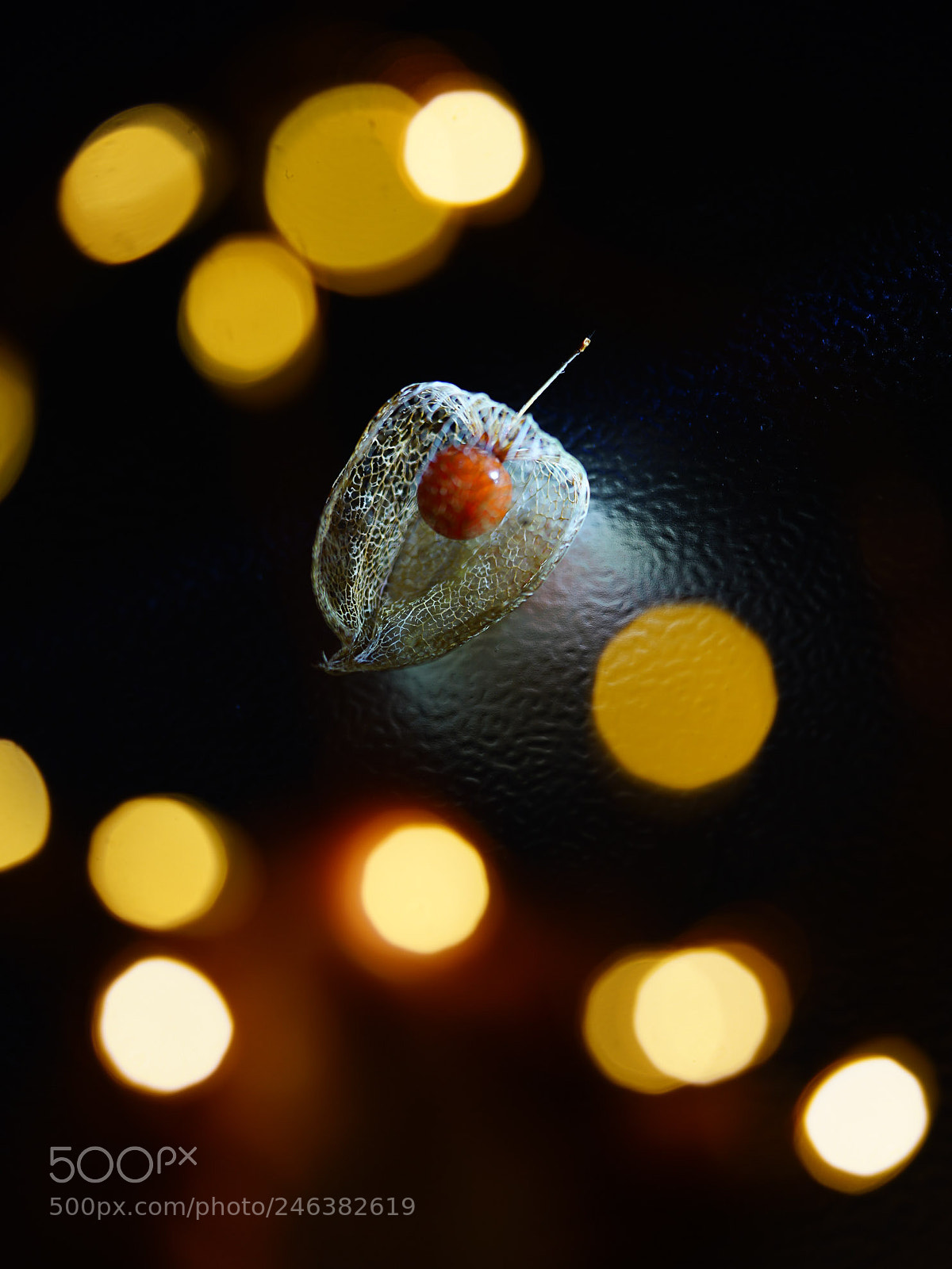 Sony a7 II sample photo. Lichtspiel iv photography