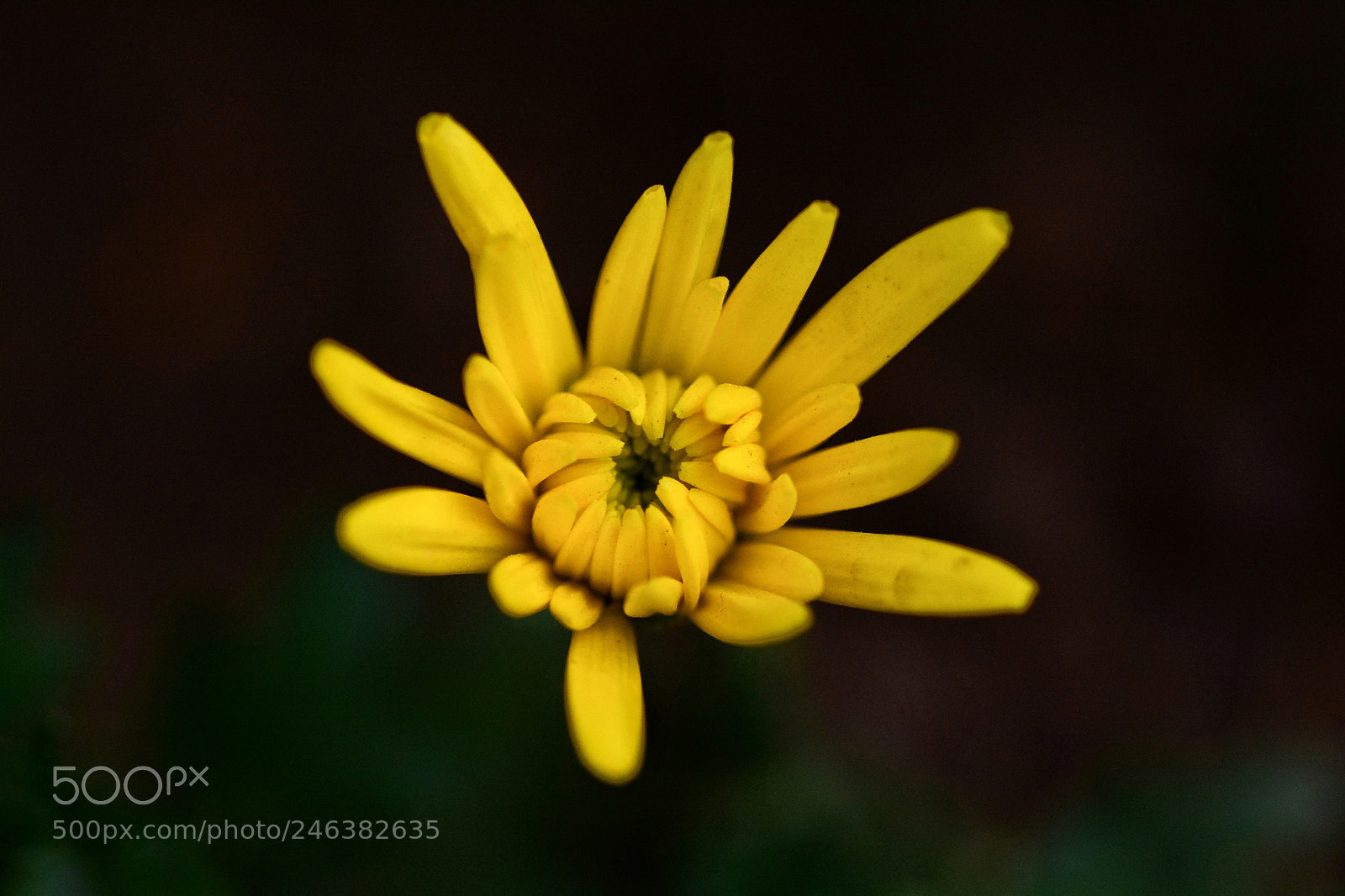 Nikon D7100 sample photo. Untitled photography